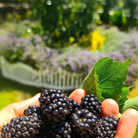 Appartement Ebruli Cennet Bahcesi Nevşehir