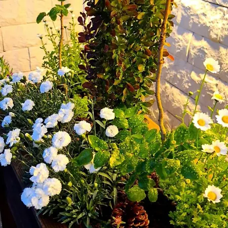 Appartement Ebruli Cennet Bahcesi