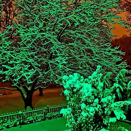 Ebruli Cennet Bahcesi Apartment Nevsehir