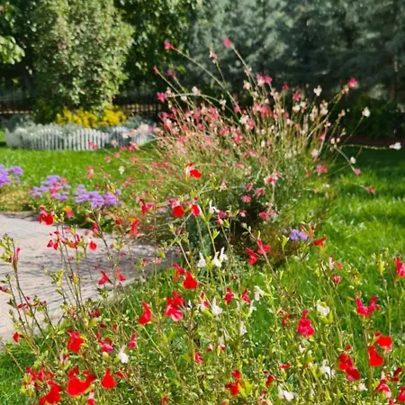 Ebruli Cennet Bahcesi Apartment