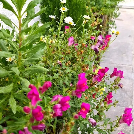 Appartement Ebruli Cennet Bahcesi Nevşehir