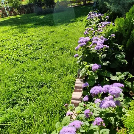 Ebruli Cennet Bahcesi