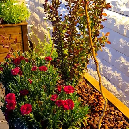 Apartment Ebruli Cennet Bahcesi