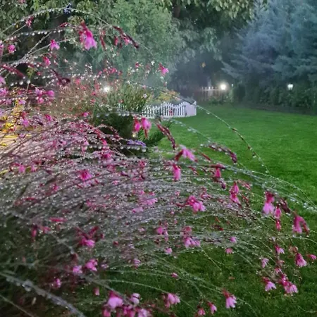 Ebruli Cennet Bahcesi Nevsehir