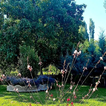 Ebruli Cennet Bahcesi Nevsehir
