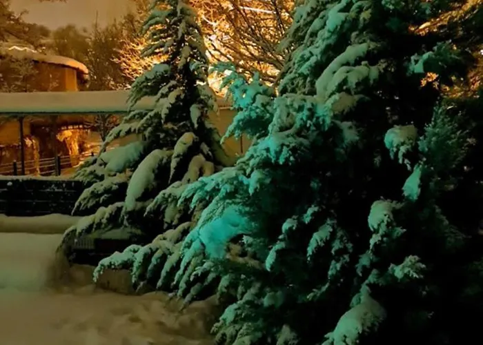 Ebruli Cennet Bahcesi דירה *