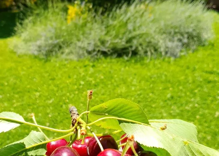 דירה Ebruli Cennet Bahcesi