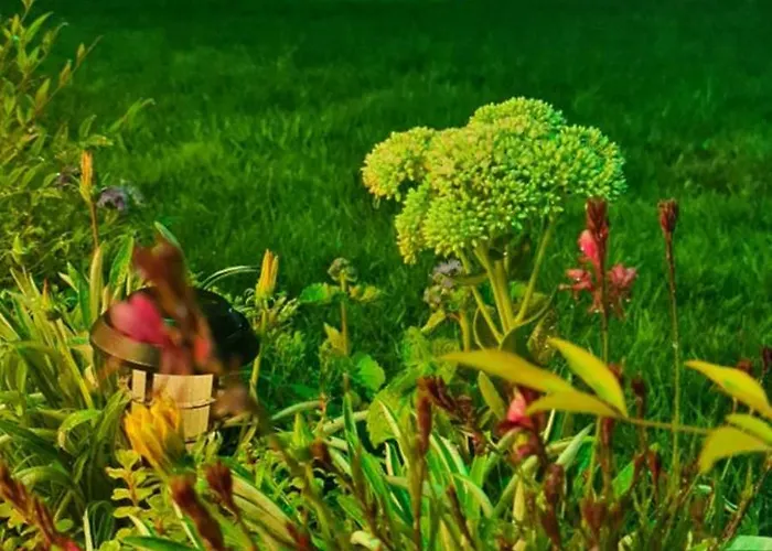 דירה Ebruli Cennet Bahcesi נבשהיר