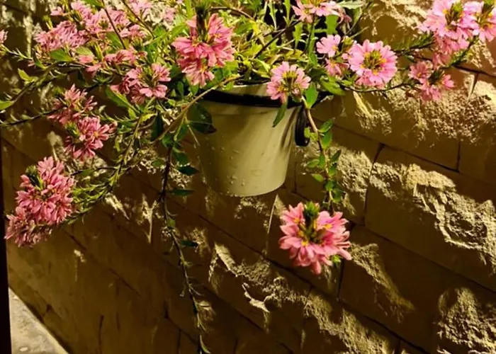 Ebruli Cennet Bahcesi דירה נבשהיר