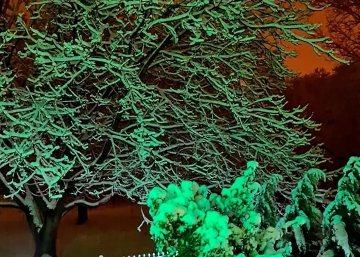 Ebruli Cennet Bahcesi דירה