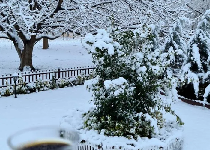 Ebruli Cennet Bahcesi *