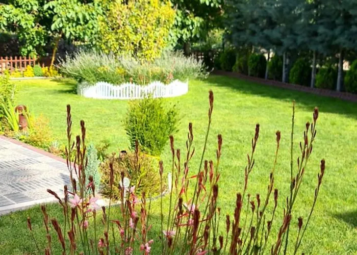 Ebruli Cennet Bahcesi * נבשהיר