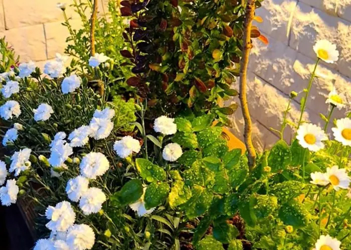 דירה Ebruli Cennet Bahcesi