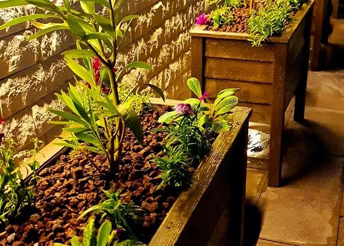 Ebruli Cennet Bahcesi דירה