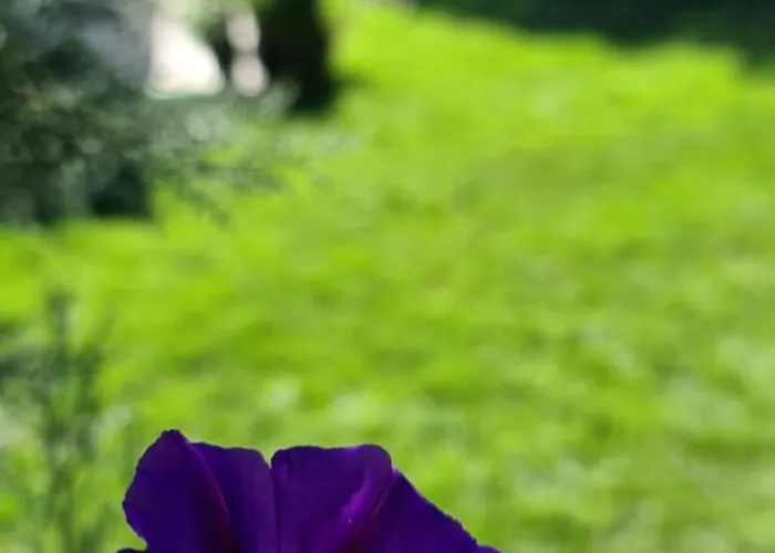 דירה Ebruli Cennet Bahcesi