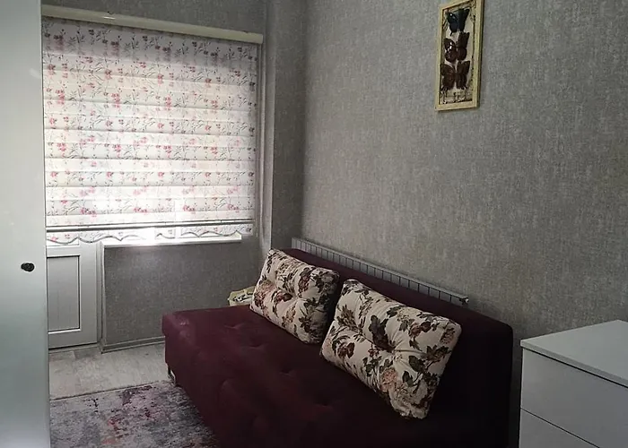 Ebruli Cennet Bahcesi * נבשהיר