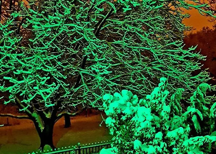 Ebruli Cennet Bahcesi דירה נבשהיר