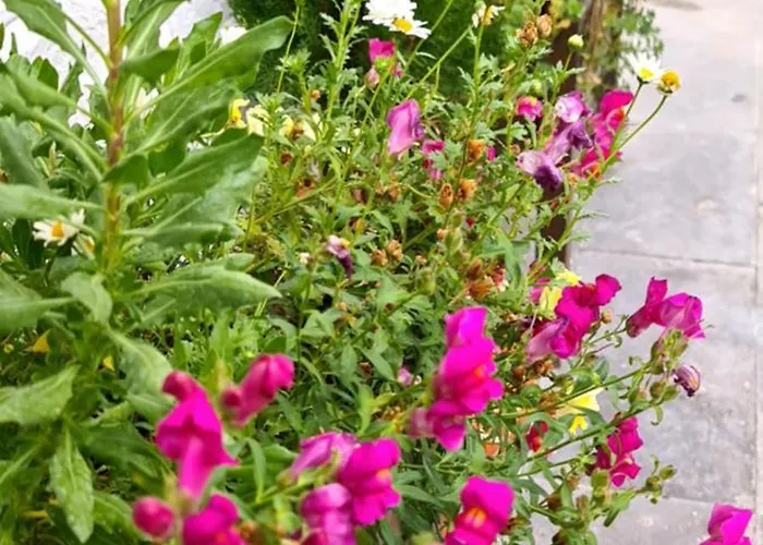 דירה Ebruli Cennet Bahcesi נבשהיר