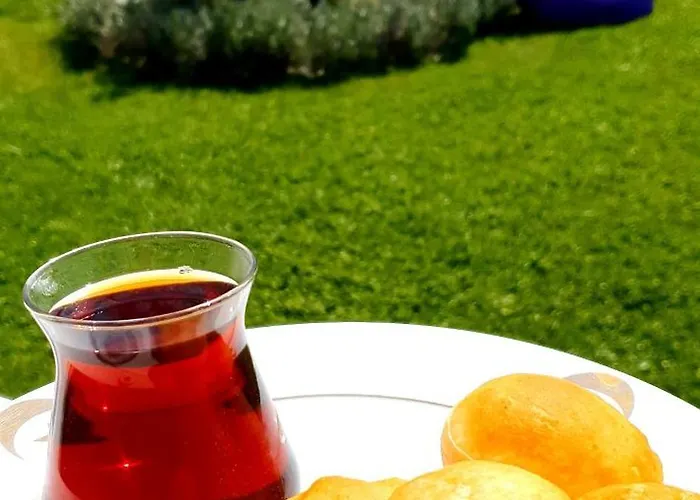 Ebruli Cennet Bahcesi *