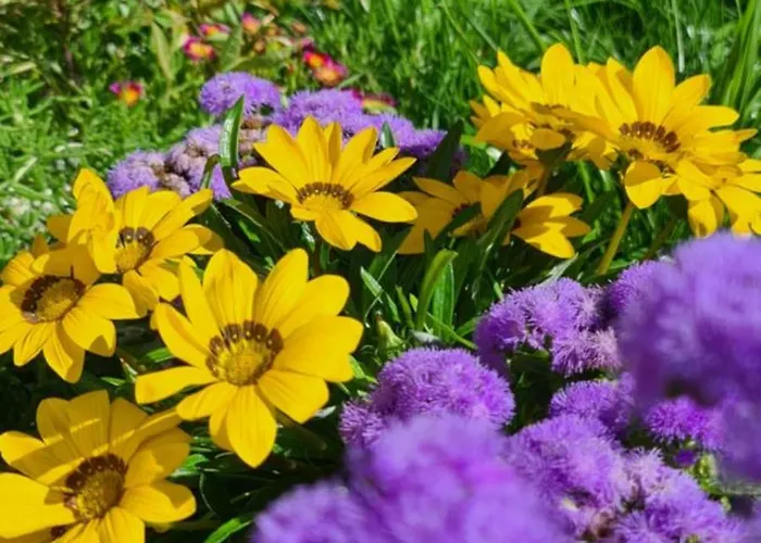 דירה Ebruli Cennet Bahcesi *