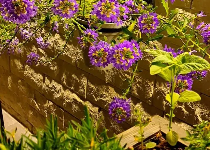 Ebruli Cennet Bahcesi *