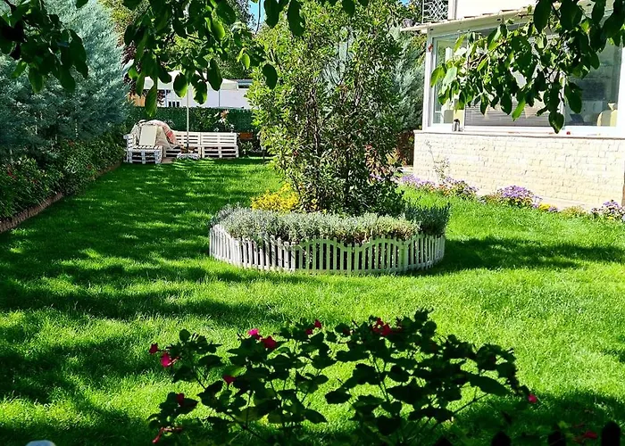 Ebruli Cennet Bahcesi * נבשהיר