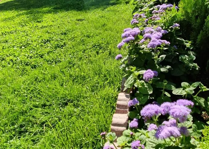 Ebruli Cennet Bahcesi