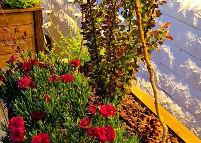 דירה Ebruli Cennet Bahcesi