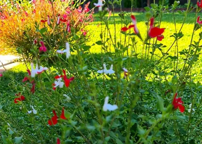 Ebruli Cennet Bahcesi דירה *