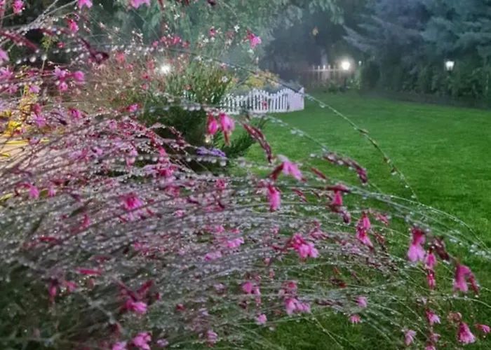 Ebruli Cennet Bahcesi נבשהיר