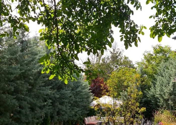 Ebruli Cennet Bahcesi נבשהיר