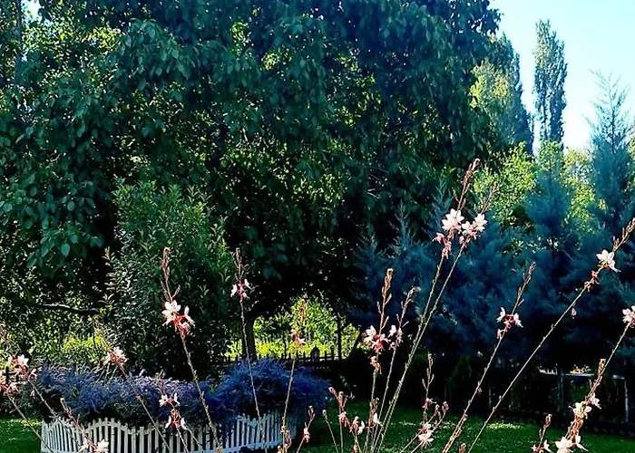 Ebruli Cennet Bahcesi נבשהיר